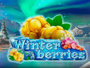 winter berries slot spiele